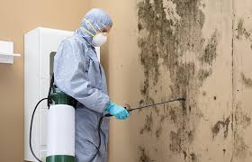 Best Mold Remediation for Healthcare Facilities  in Lake Wazeecha, WI